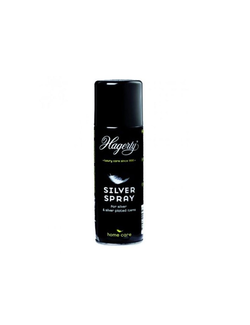 Spray Hagerty curatat argint